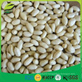 high quality blanched peanut kernels